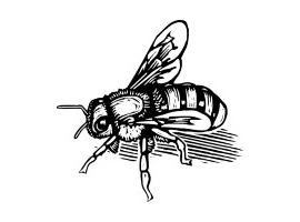 bee